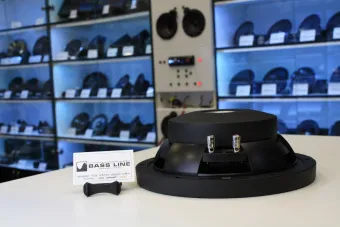 Купить Сабвуфер Pioneer TS-Z10LS4 - купить, 22 450 руб.