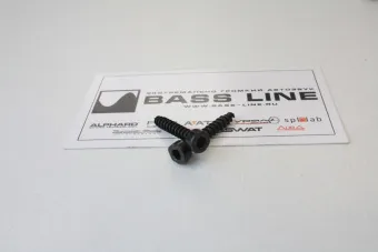 Купить Винт-саморез AUDIO NOVA Hexagonal screws Blk 4*25mm - купить, 15 руб.