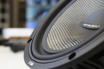 Купить 2х-компонентная акустика ESB SINQUEMILAESB 5.6K2 - купить, 54 990 руб.