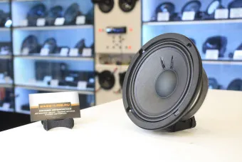 Купить Мидбасы Faital Pro 6FE200 4Ом - купить, 12 900 руб.