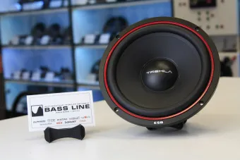 Купить Мидбасы ESB TREMILAESB 3.165 - купить, 13 900 руб.