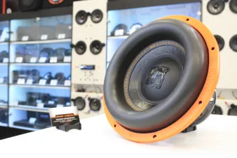 Купить Пассивный сабвуфер DL Audio Gryphon Pro 12" V.3 D2 - купить, 9 390 руб.