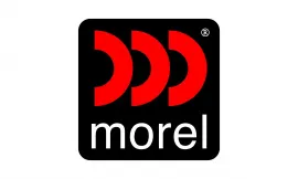 Morel