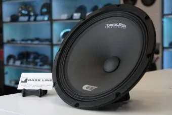 Мидвуфер Dynamic State CM-25.1 CUSTOM - купить, 2 500 руб.2 500 руб.