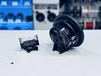 Купить Пассивный сабвуфер Dynamic State Custom CSW-S16 6,7" D2 - купить, 3 940 руб.