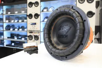 Купить Сабвуфер DL Audio Raven 10" D2 V.2 - купить, 10 490 руб.
